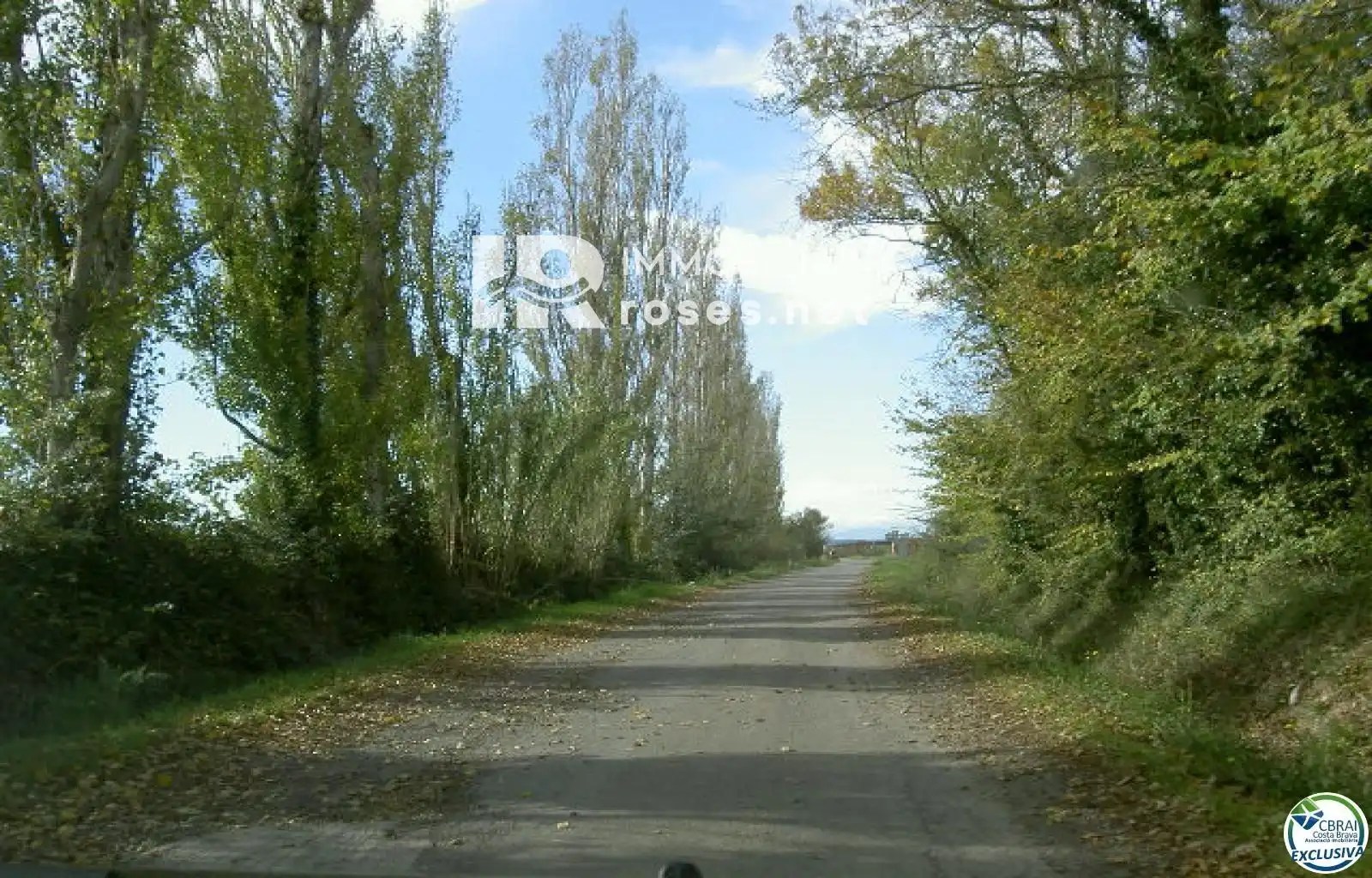 Rural land for sale in cortal vell, imagen 6