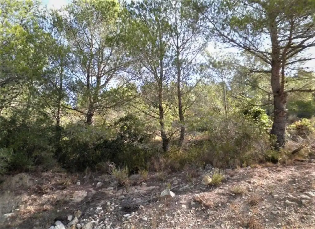 Rustikales Grundstück zum Verkauf in ZONA DISSEMINAT DEL COLL DE LALBA, imagen 4