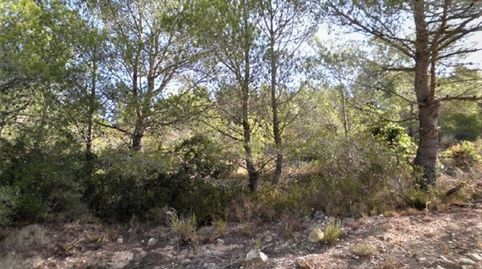 Foto 4 de Terreno en venta en Zona Disseminat del Coll de Lalba, Bítem, Tortosa