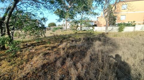 Photo 4 of Residential for sale in Calle Io, Las Rotas / Les Rotes, Alicante