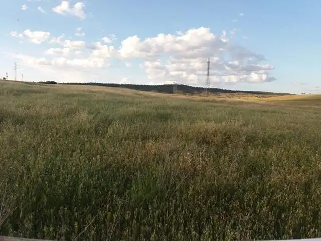 Grundstücke und Bauplätze zum Verkauf in Belmez
