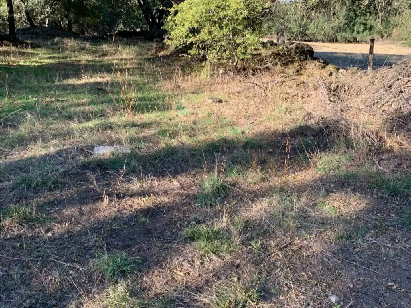 Finca rústica en venta en La Adrada 