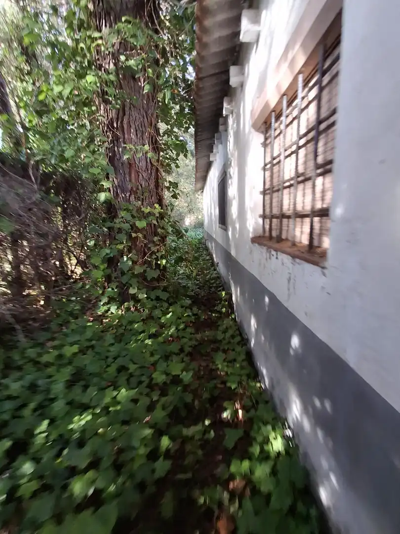 Houses for rent in Pezuela de las Torres