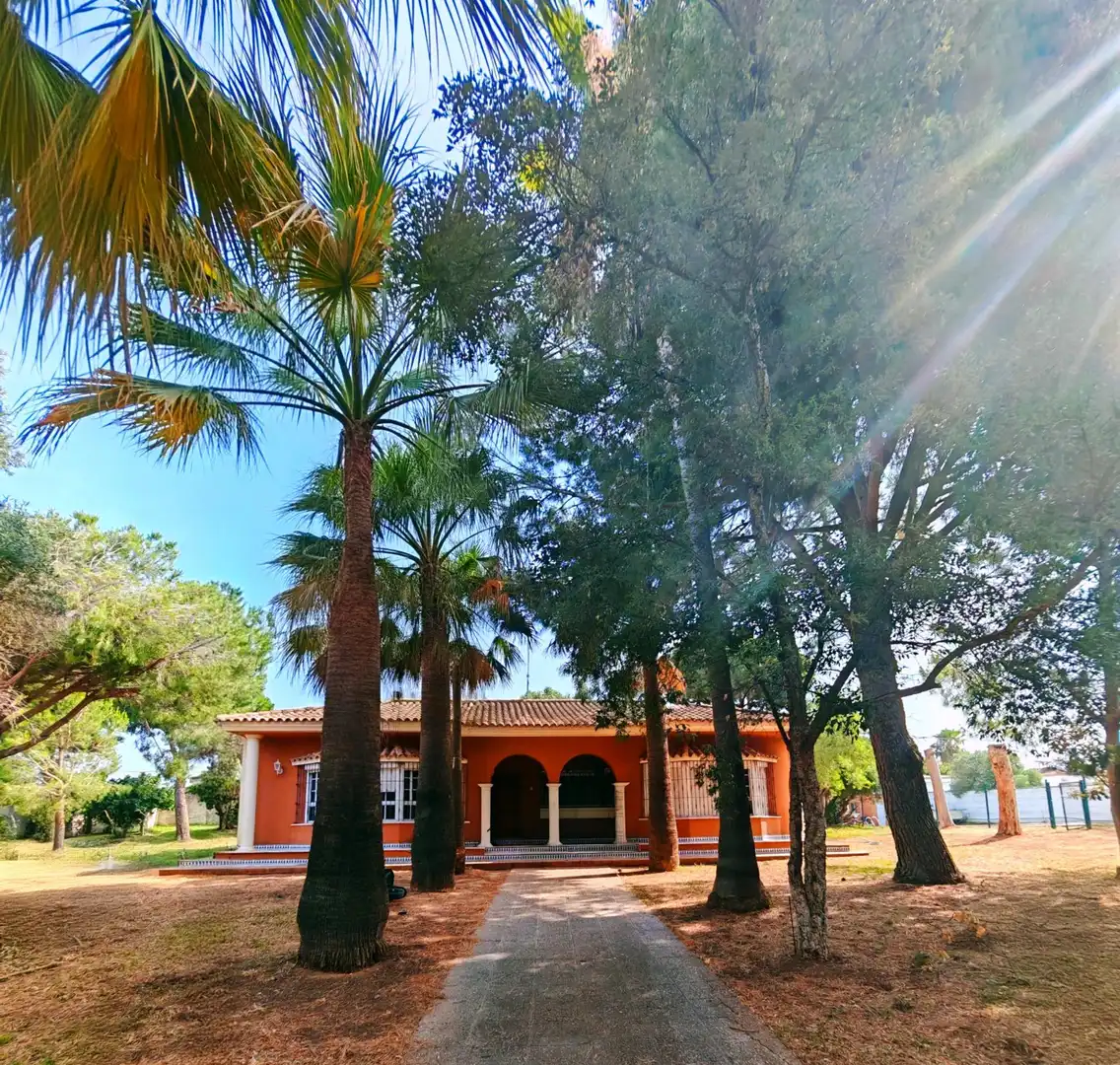 Vista exterior de Casa o xalet en venda en Chiclana de la Frontera amb Aire condicionat, Traster i Piscina