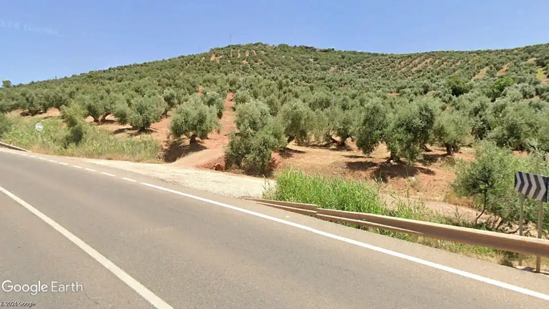 Terreni e lotti in vendita a Navas de San Juan