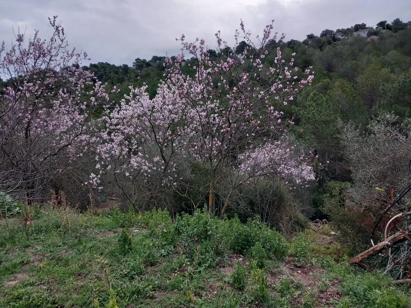 Residential land for sale in Torrelles de Foix, imagen 15