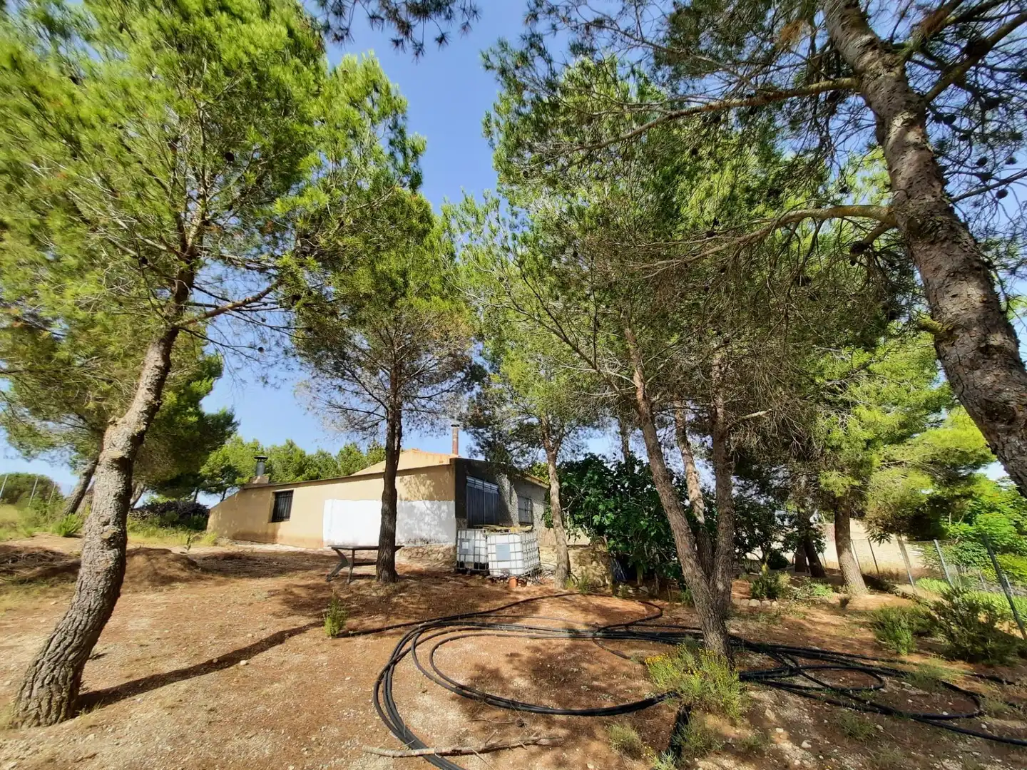 Vista exterior de Casa o chalet en venta en Alpera con Amueblado