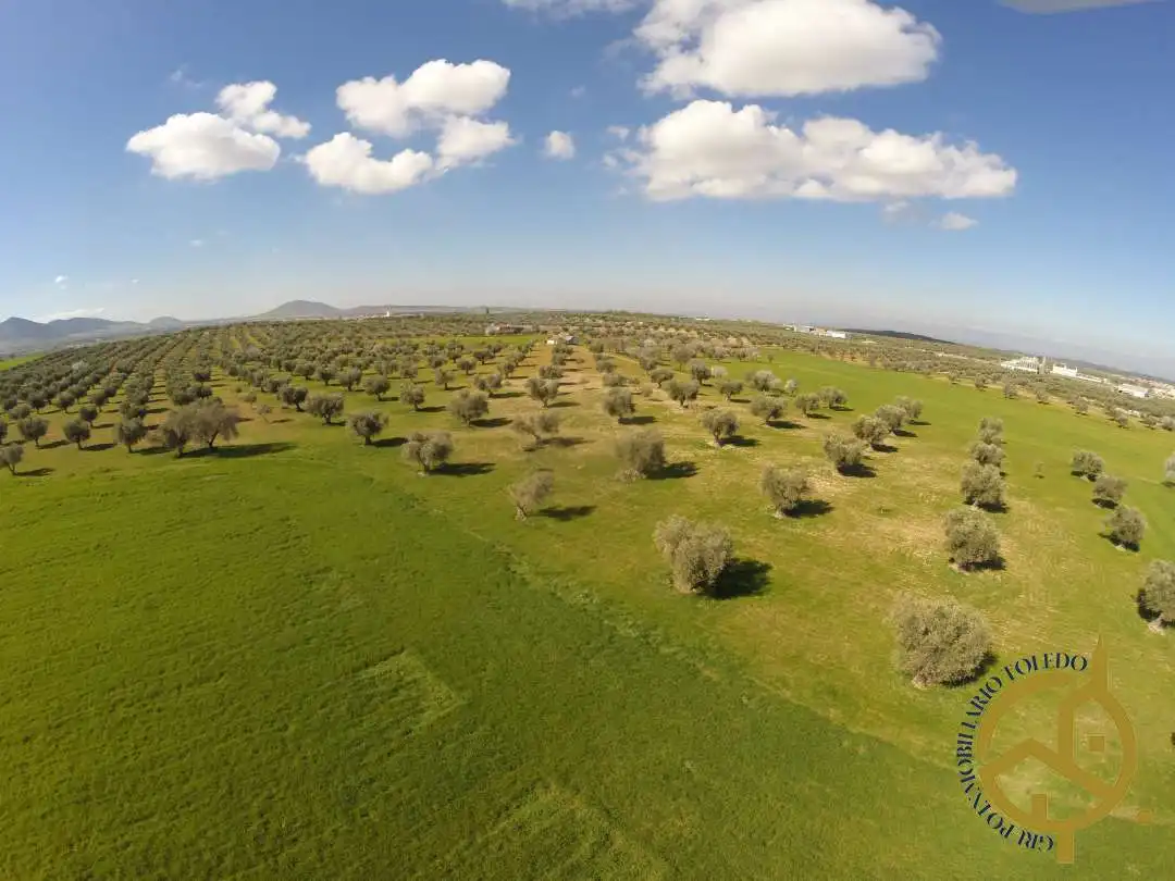 Residencial en venta en Guadamur