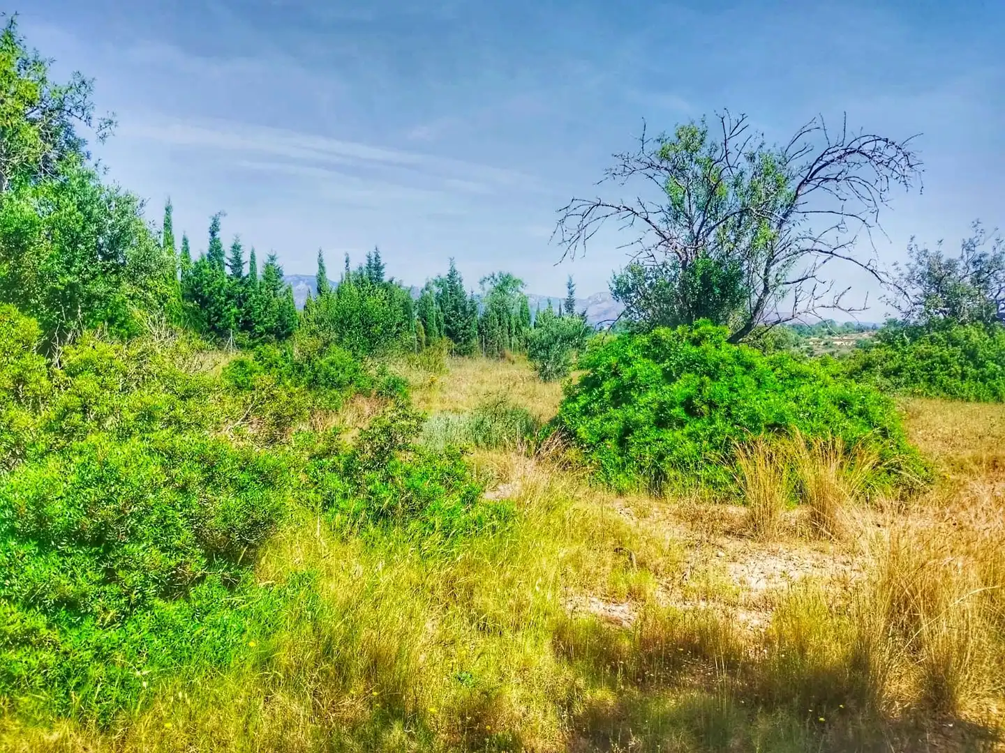 Terrain rustique à vendre à Roquetes, imagen 9