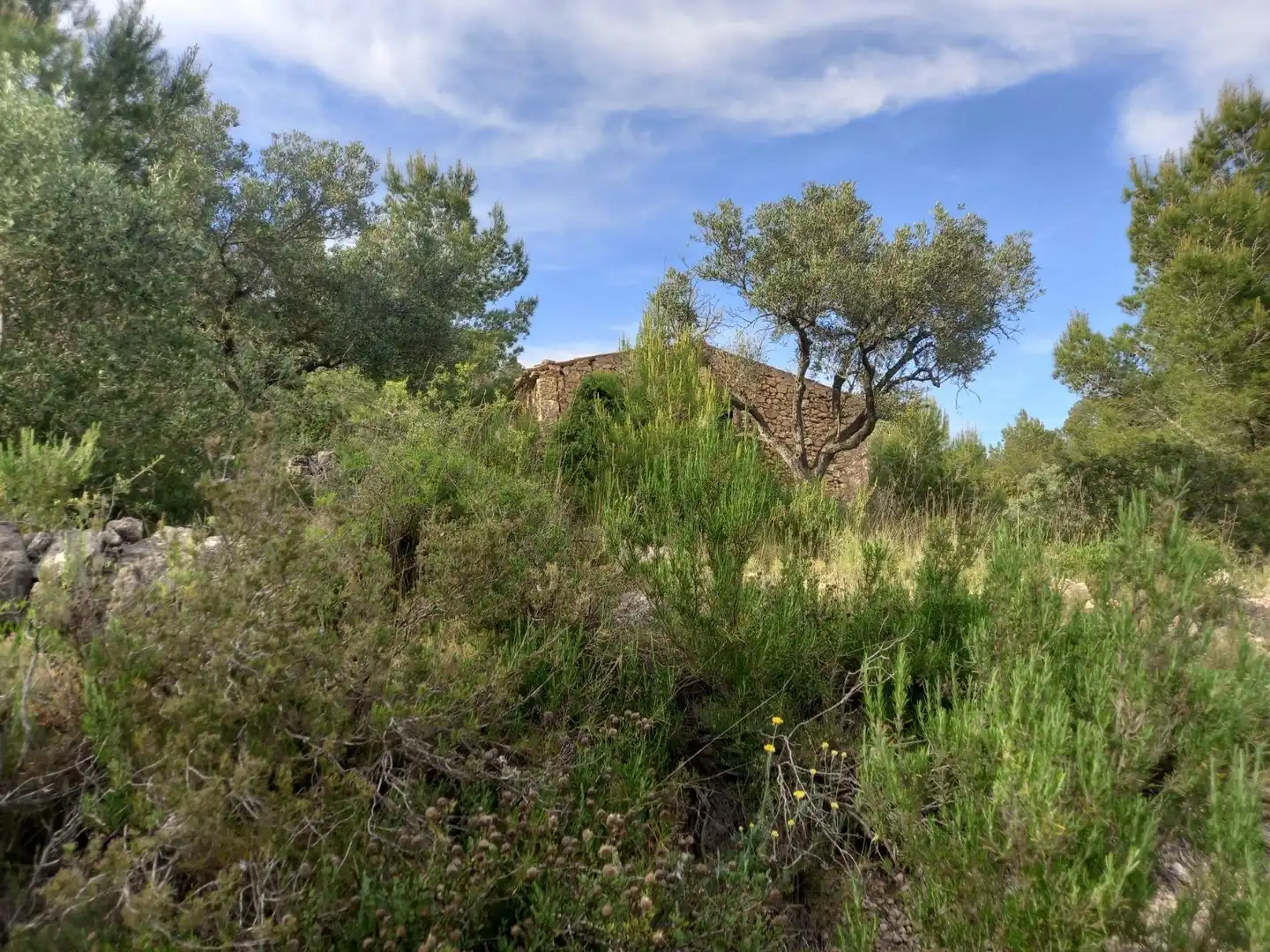 Rural land for sale in El Pinell de Brai, imagen 31