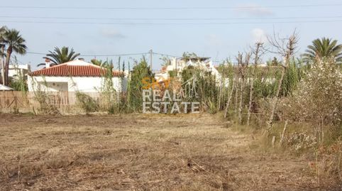 Foto 4 de Residencial en venda a Urbanització Bassetes Sector 7 Sup, Oliva Nova, Oliva