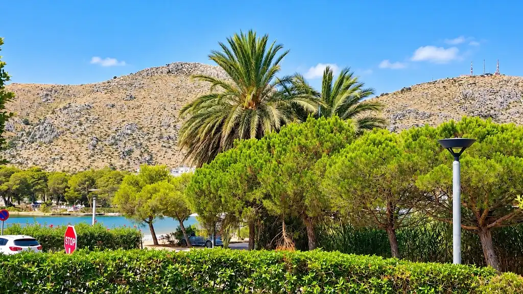 Vista exterior de Apartament en venda en Alcúdia amb Terrassa i Piscina comunitària