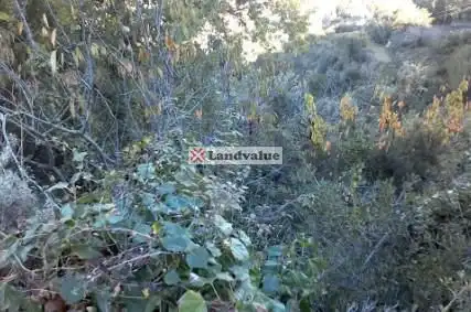 Grundstücke und Bauplätze zum Verkauf in Ginesta 45, imagen 4