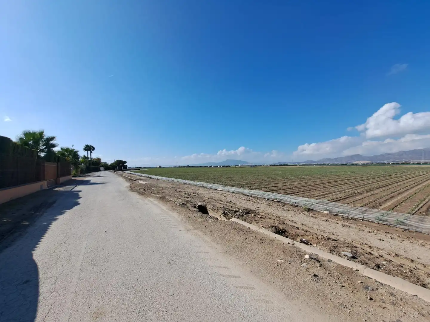 Casa o chalet en venta en Marchena