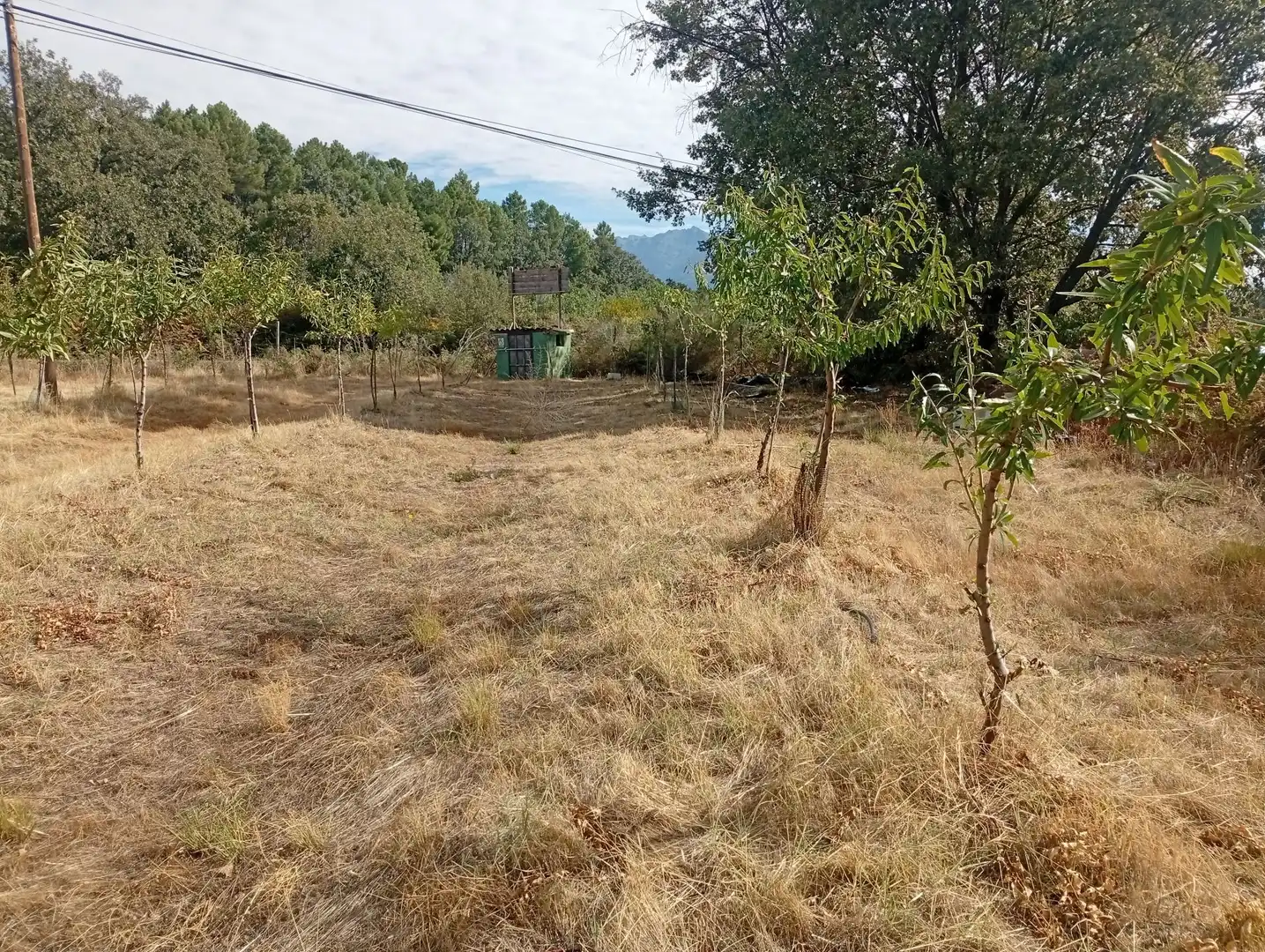 Terrain rustique à vendre à Villanueva de la Vera, imagen 32