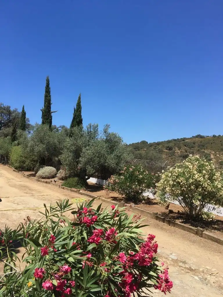 Jardín de Finca rústica en venta en Aracena con Aire acondicionado, Jardín privado y Parquet