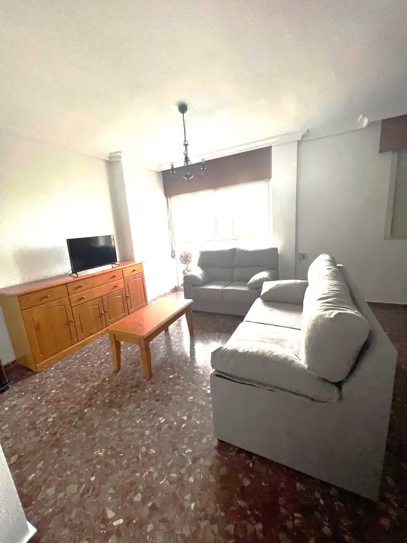 Piso de alquiler en Avenida del Rector José Loustau, 18, La Fama