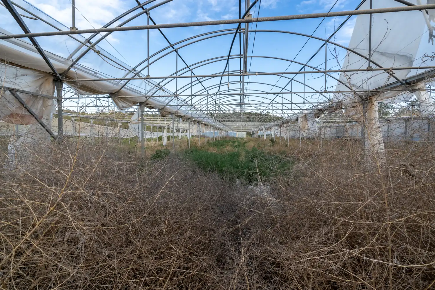 Exterior view of Land for sale in El Pinell de Brai