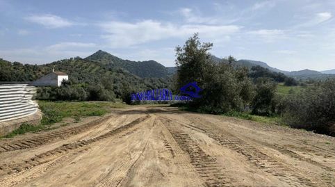 Foto 4 de Finca rústica en venda a Adamuz, Córdoba
