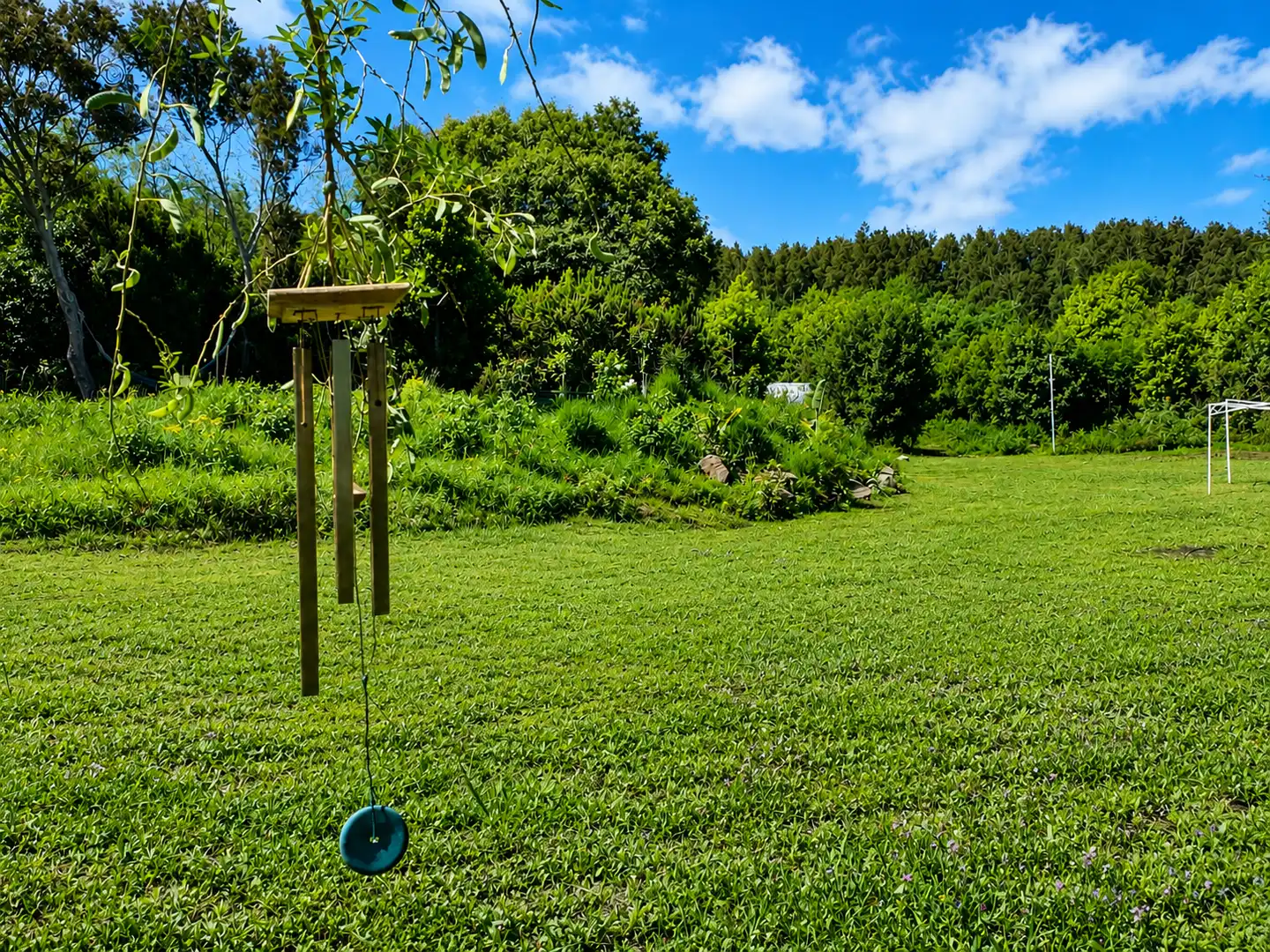 Land for sale in El Tanque