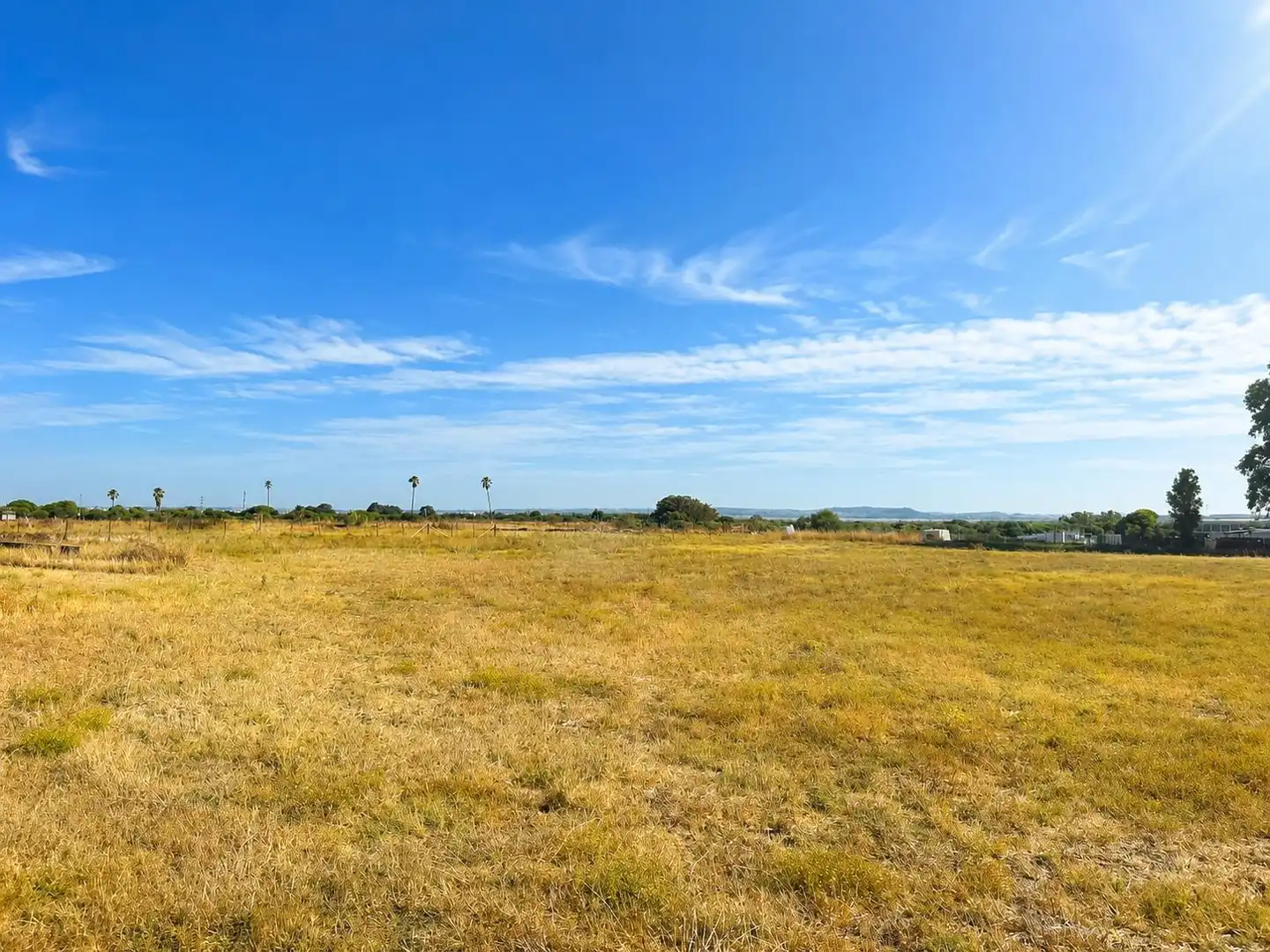 Finca rústica en venta en Chiclana de la Frontera