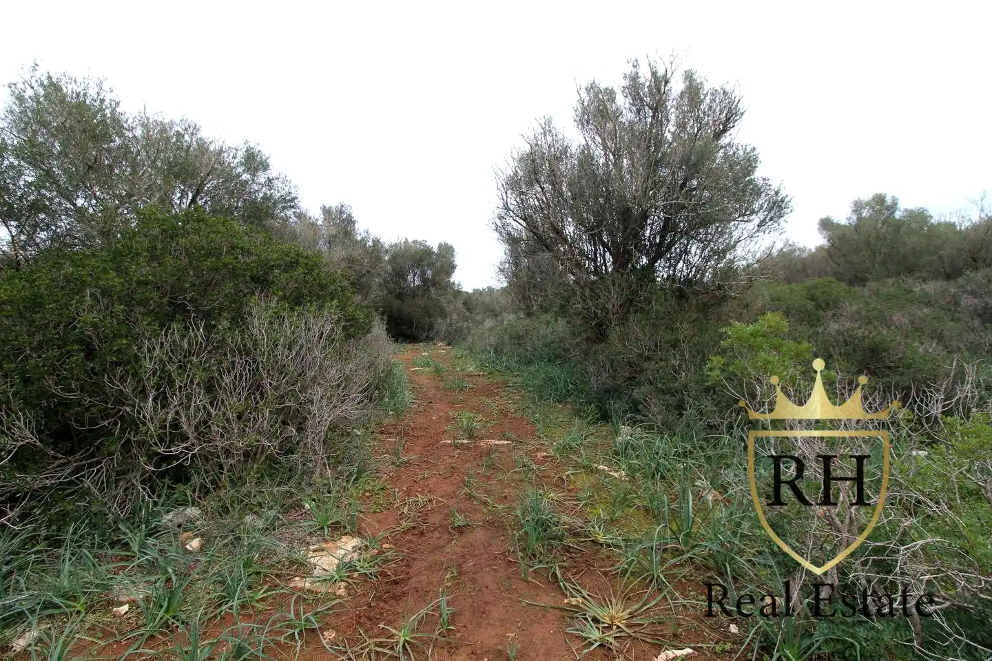 Lands and plots for sale in POLIGONO 49 PARCELA 3, imagen 17