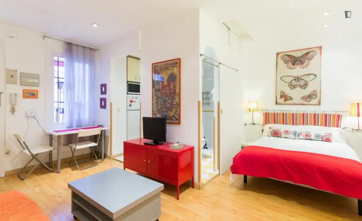 Studio zur Miete in Centro, imagen 9