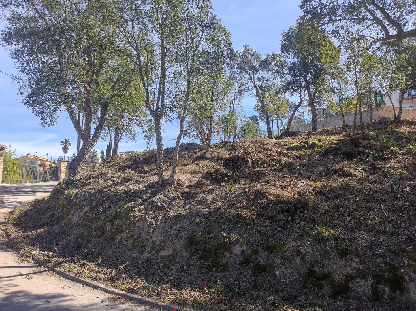 Terreny residencial en venda a Lloret Blau - La Creu de Lloret