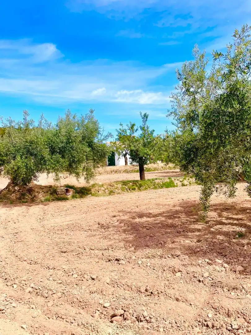 Terreny residencial en venda a Vélez-Rubio