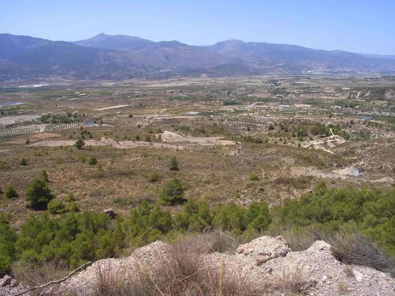 Grundstücke zum Verkauf in Urrácal