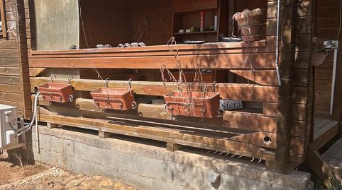 Parcela Rustica de 1.000 m2 con casa de madera y zona de recreo en Pilas, immagine 3