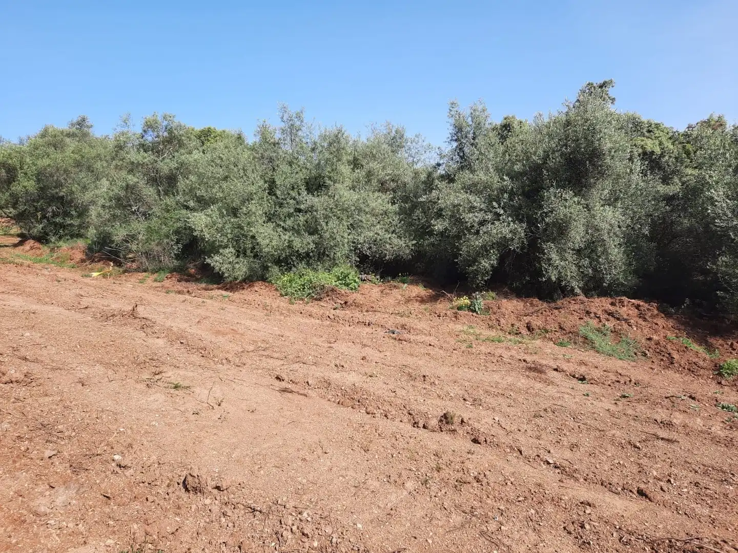 Residencial en venta en RESIDENCIAL NÚMERO, El Brillante -El Naranjo - El Tablero, Norte-Sierra