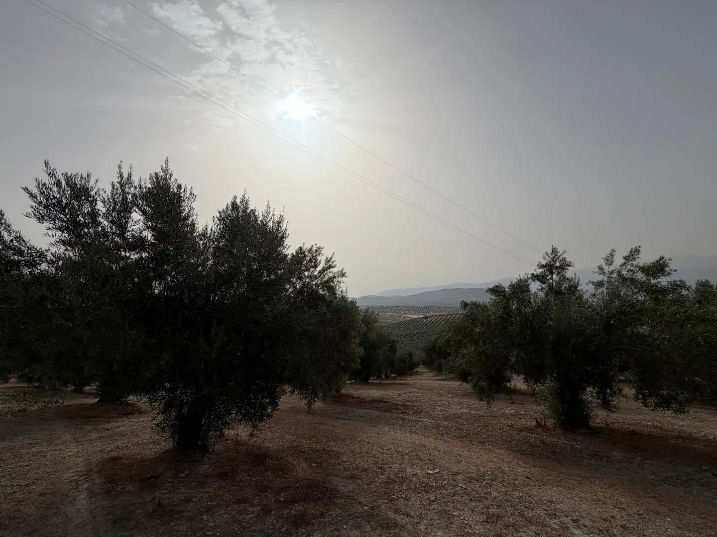 Rural land for sale in Iznalloz, imagen 18