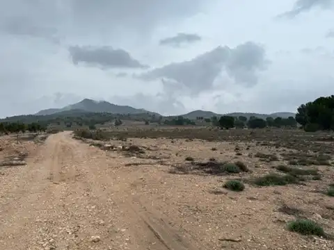 Rustikales Grundstück zum Verkauf in Partida de Villena / Partida Corralet - Casa Soler, imagen 11