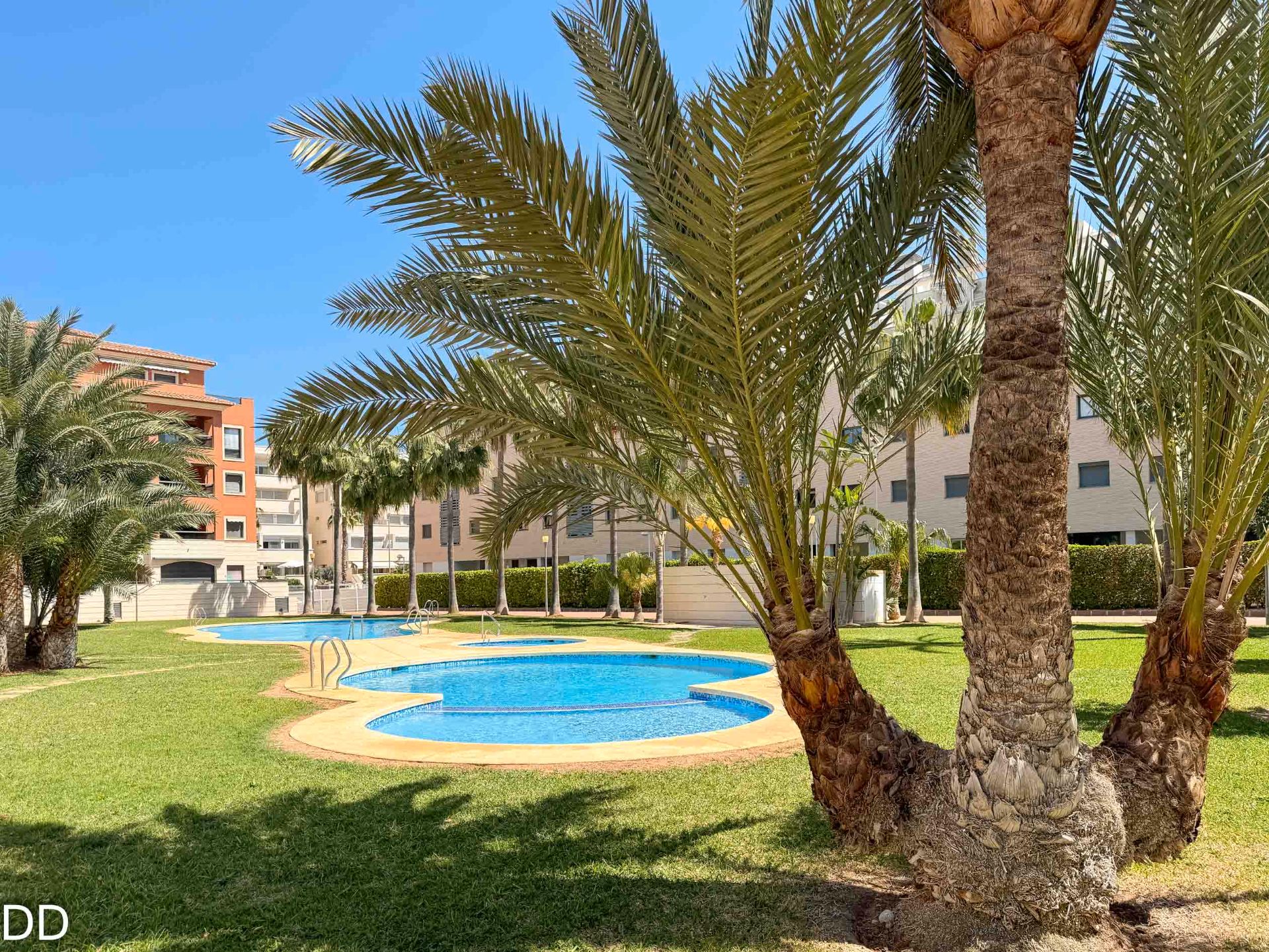 Swimming pool of Attic to rent in Dénia  with Air Conditioner, Terrace and Furnished