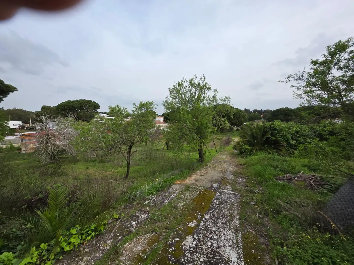 Country homes for sale in Chiclana de la Frontera  with Private garden, Storage room and Swimming Pool