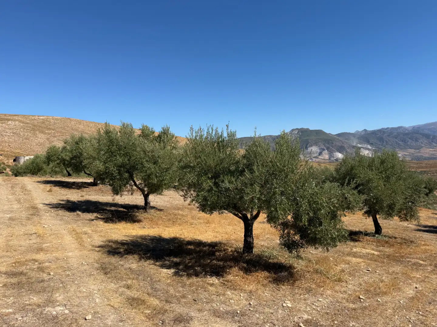 Terreno rustico in vendita a Camino de la Sierra, imagen 18
