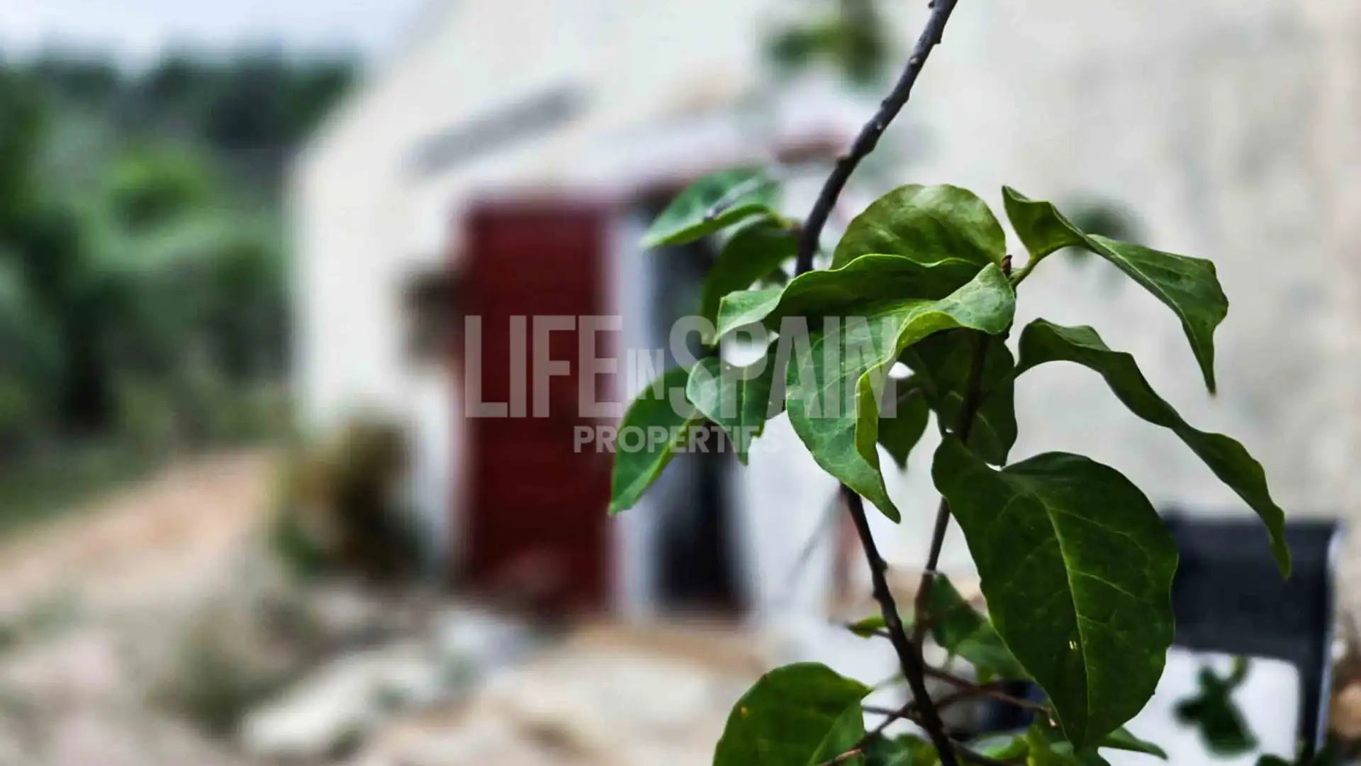 Finca rústica en venta en Bítem