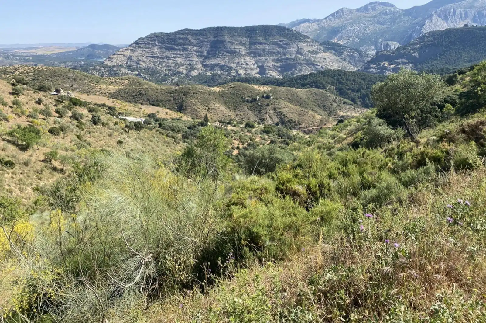 Terreni e lotti in vendita a huerto franco, imagen 10