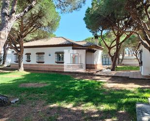 Jardí de Casa o xalet en venda en Chiclana de la Frontera amb Jardí privat, Traster i Forn