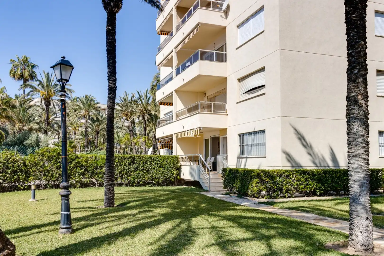Vista exterior de Planta baixa de lloguer en Torrevieja amb Aire condicionat, Terrassa i Piscina
