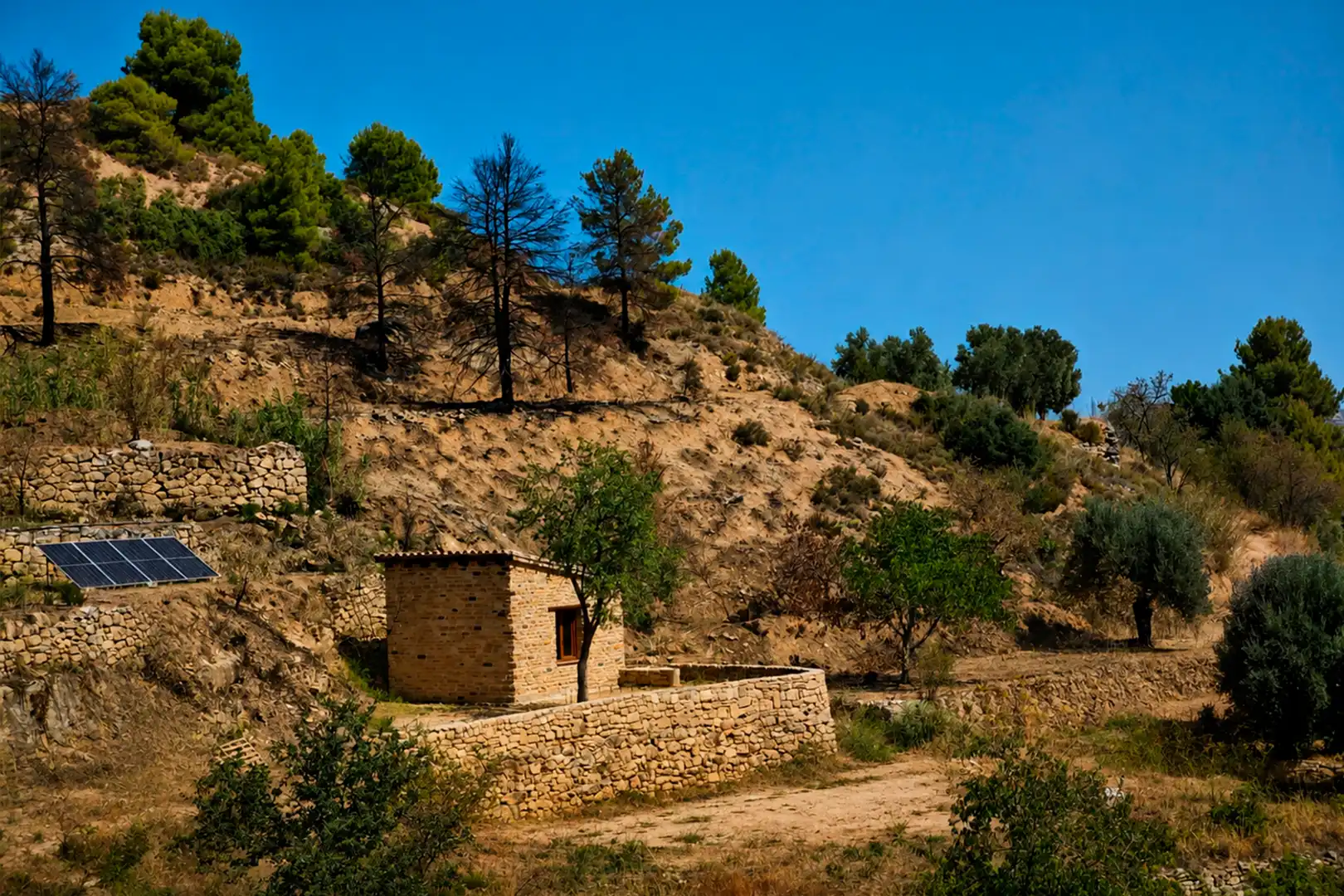 Terreni e lotti in vendita a Valderrobres