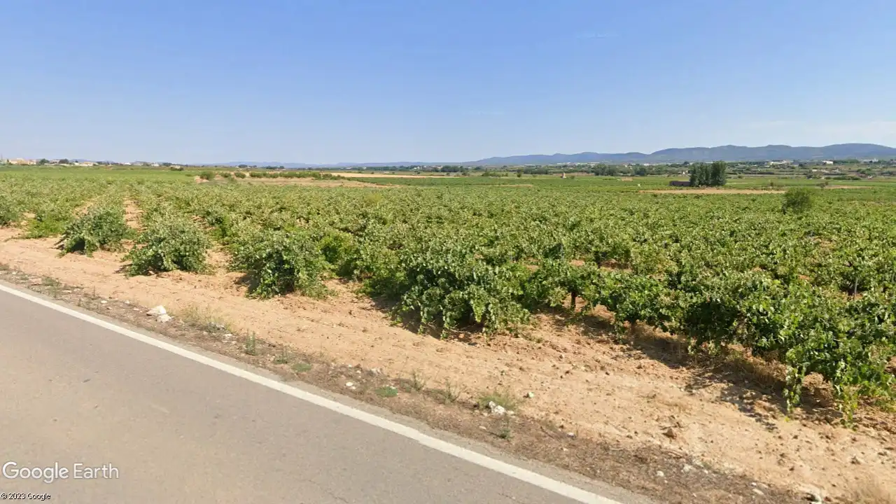 Rustikales Grundstück zum Verkauf in Requena