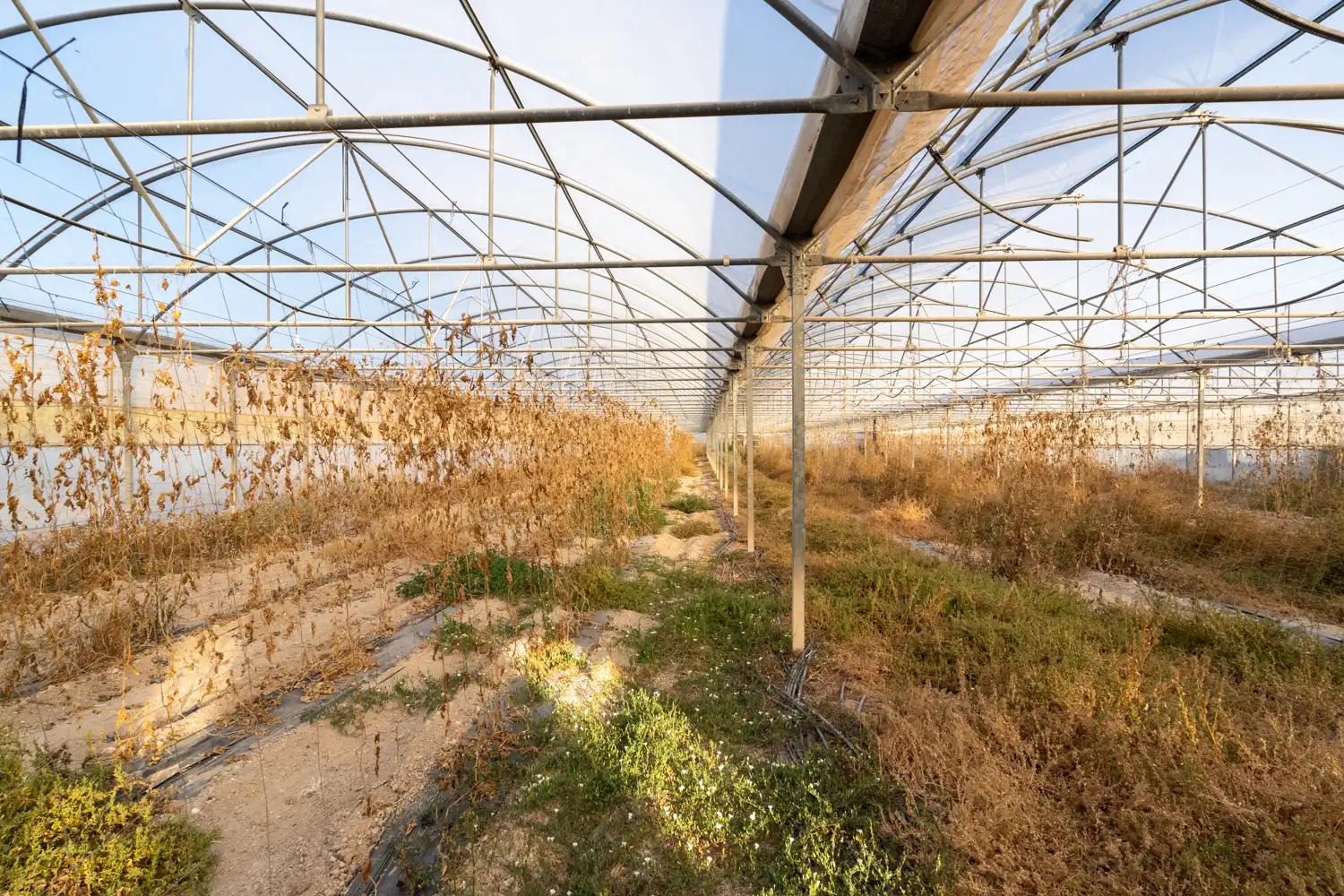 Exterior view of Land for sale in El Pinell de Brai