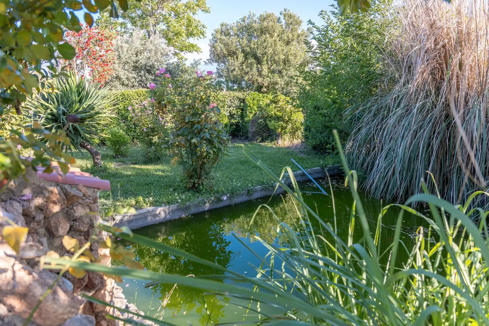 Jardí de Casa o xalet en venda en Guadix amb Aire condicionat, Calefacció i Jardí privat