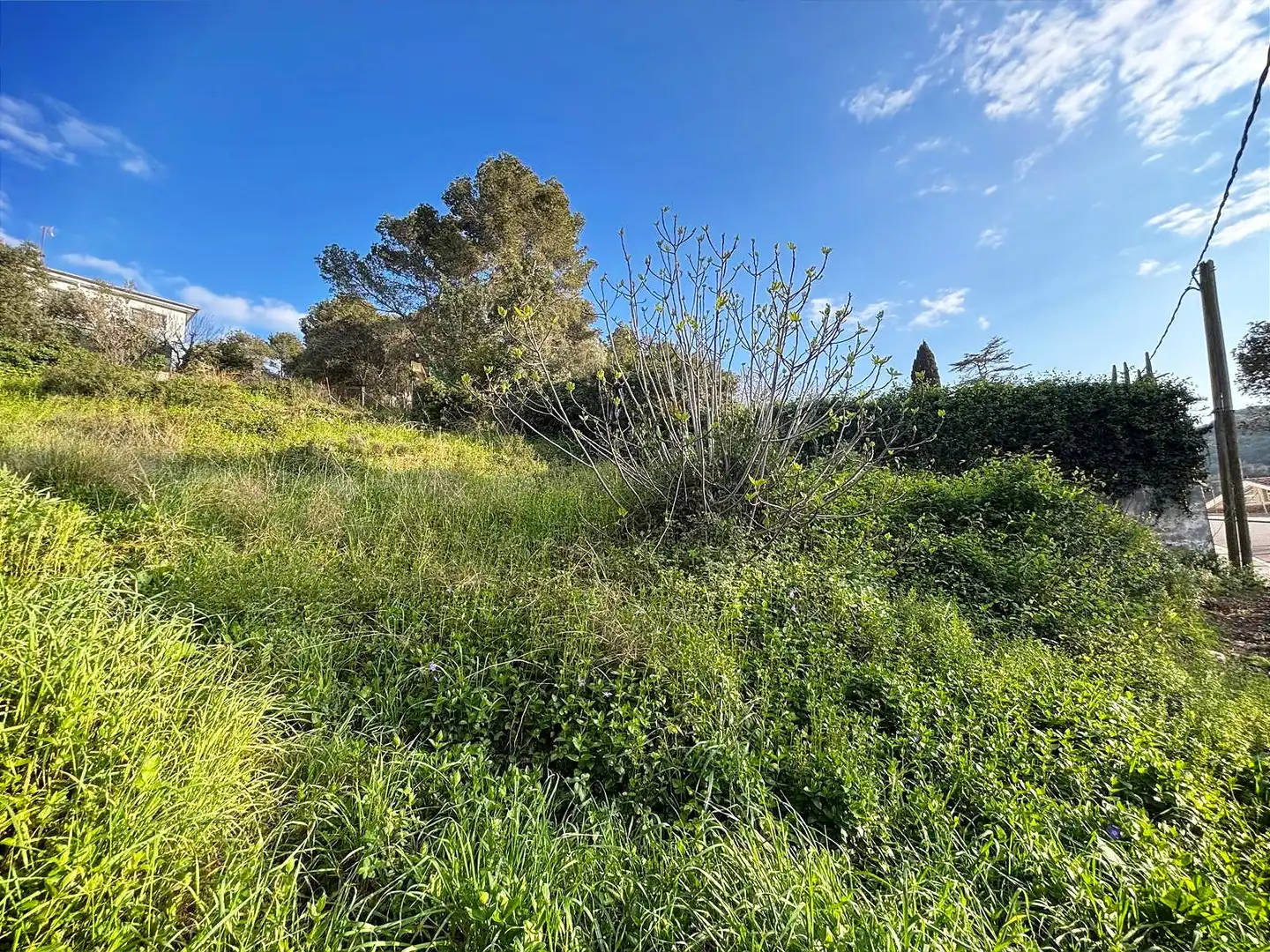 Terreno residencial en venta en Canyelles, imagen 7