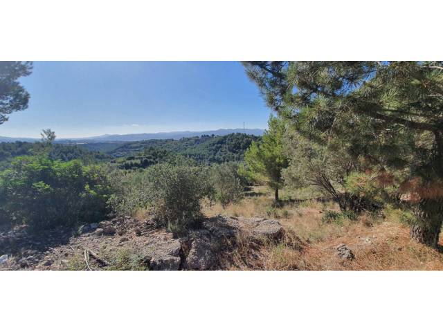 Terreno residencial en Venta en Carrer Turó de Can Palet, 68 en Ullastrell