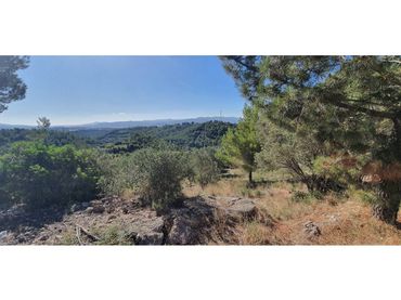 Terreno residenziale in vendita a Carrer Turó de Can Palet 68