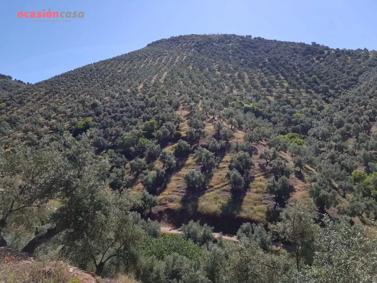 Finca rústica en venta en Villanueva de Córdoba con Jardín privado, Trastero y Amueblado