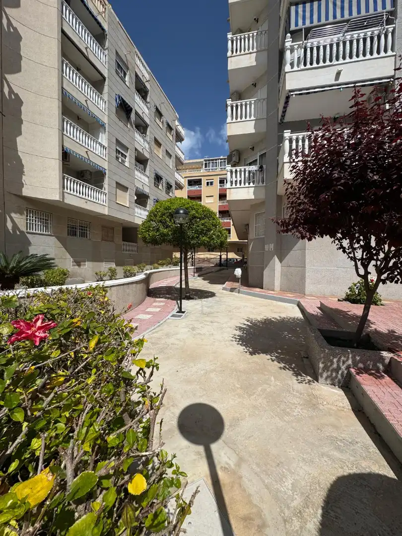Vista exterior de Ático en venta en Torrevieja con Aire acondicionado, Calefacción y Terraza